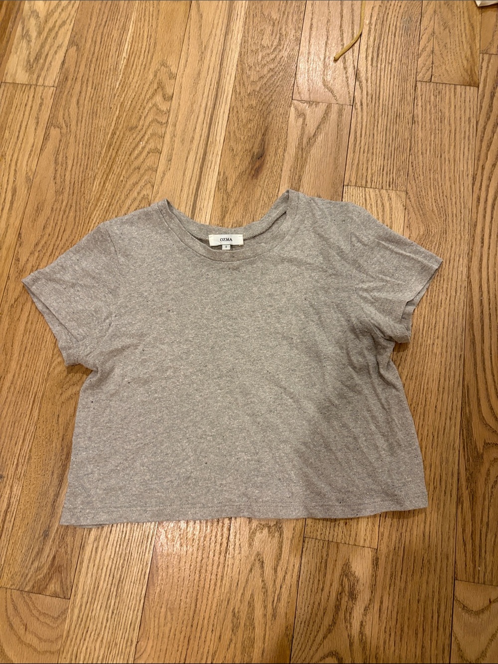 OZMA Lou Silk Noil Jersey Gray Short Sleeve Cropped Tee